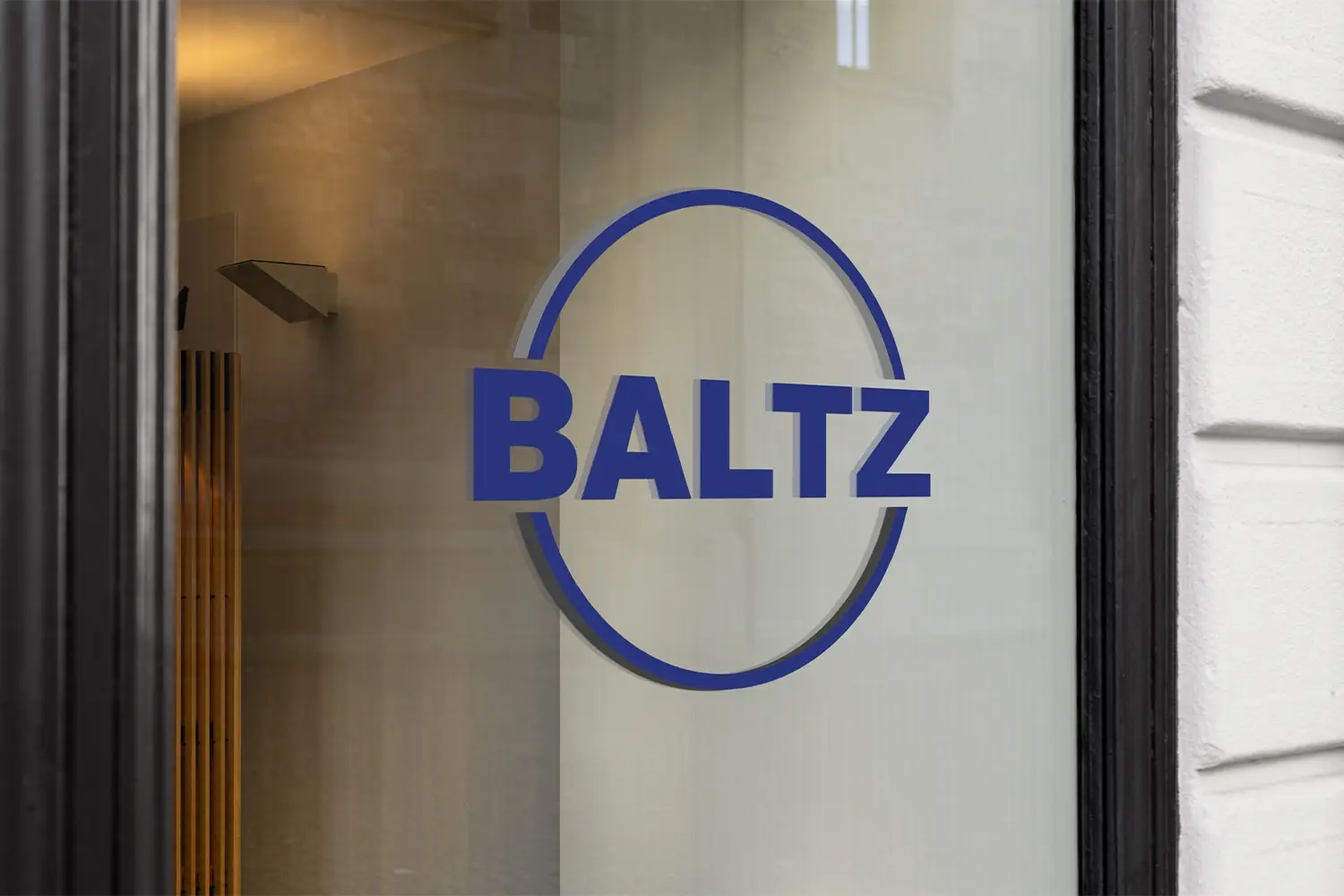 Professionell gereinigte Fenster