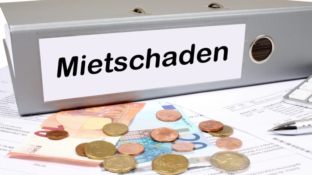 Ein Bild von einem Ordner mit der Aufschrift "MIetschaden" und etwas Geld