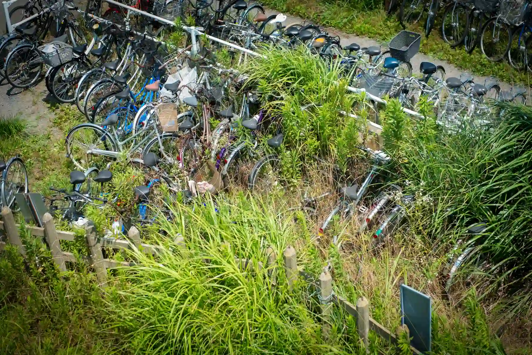 Entrümpelung Messie-Gärten